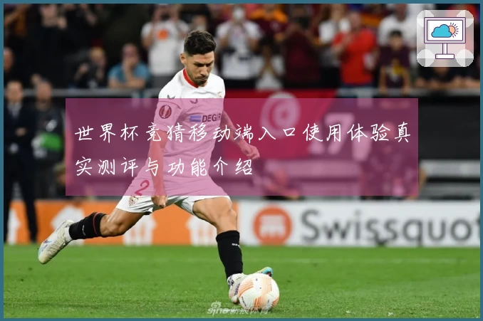 世界杯竞猜移动端入口使用体验真实测评与功能介绍