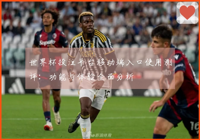 世界杯投注平台移动端入口使用测评：功能与体验全面分析