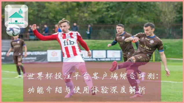 世界杯投注平台客户端综合评测：功能介绍与使用体验深度解析
