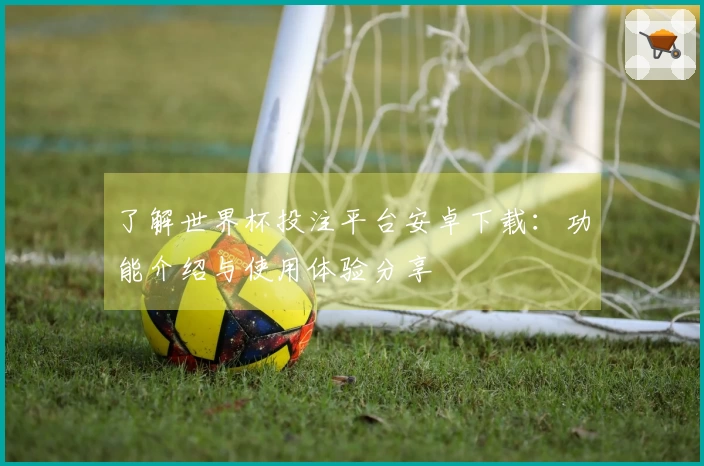 了解世界杯投注平台安卓下载：功能介绍与使用体验分享