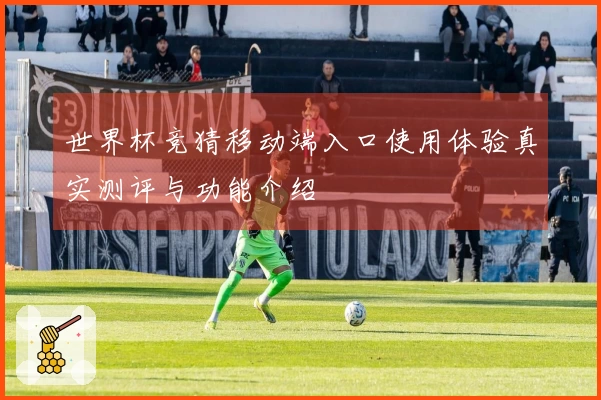 世界杯竞猜移动端入口使用体验真实测评与功能介绍