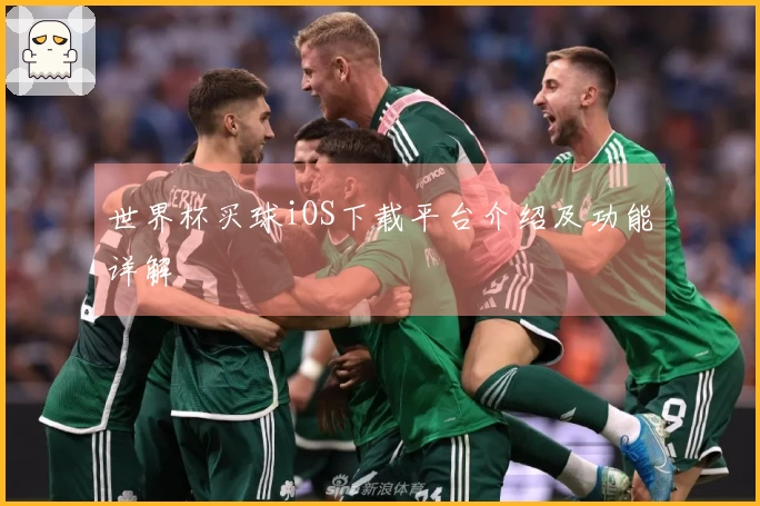 世界杯买球iOS下载平台介绍及功能详解