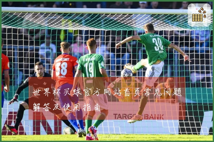 世界杯买球官方网站首页常见问题解答及使用指南