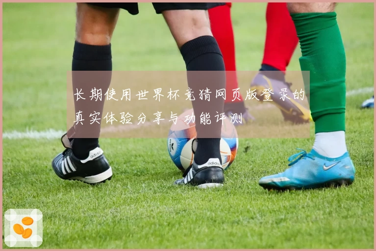 长期使用世界杯竞猜网页版登录的真实体验分享与功能评测